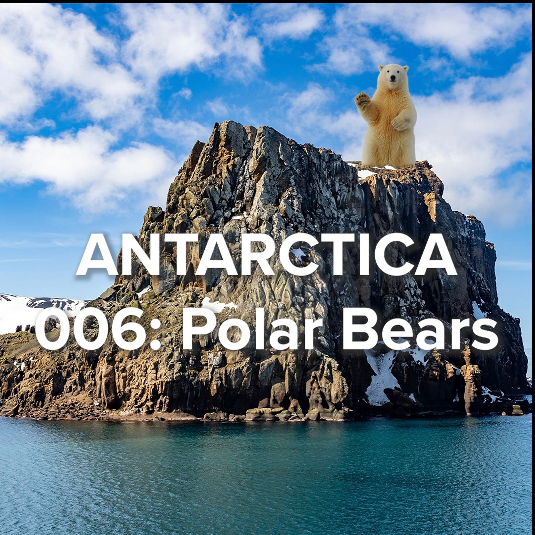 Antarctica 006: Polar Bears